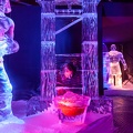 IMG 4852