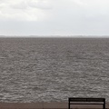 IMG 8589