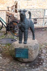 IMG 8705
